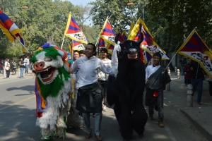 Tibet's Yak and Snowlion visit Delhi University campus! 